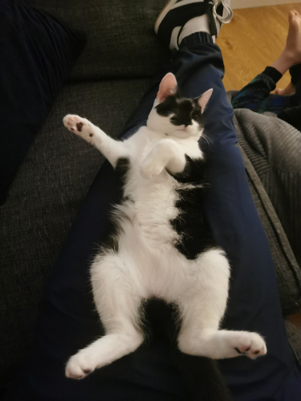 matilda.jpg