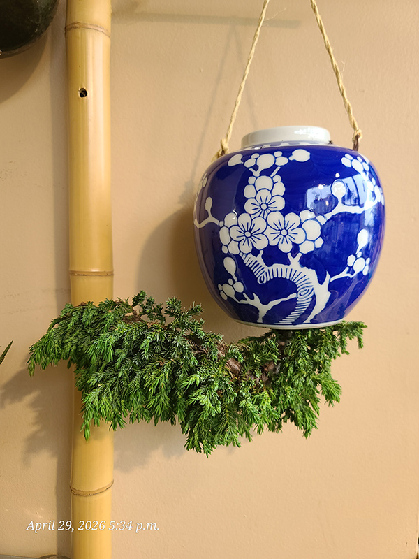 [Image: 20260429-173446.jpg ]