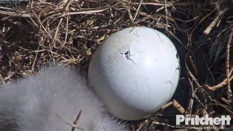 Harriet 20181224-08 copy