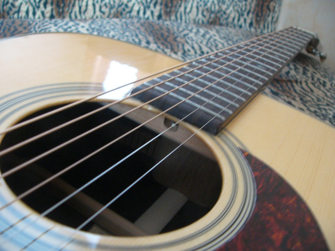 7_Recording_King_RD_27_neck_change