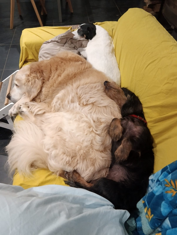 [Image: IMG-20231105-WA0015.jpg]