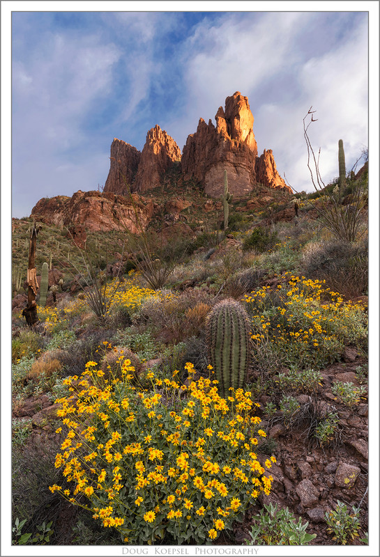 Ed1600TCGGupes 4-4-2019_0089