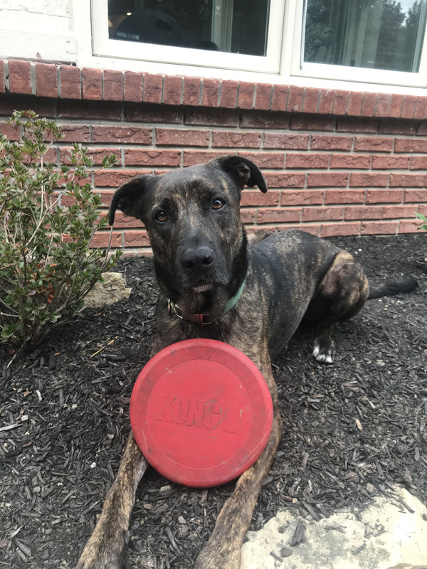 9A86CDA5-0FF4-4E28-B33F-393D1974262E