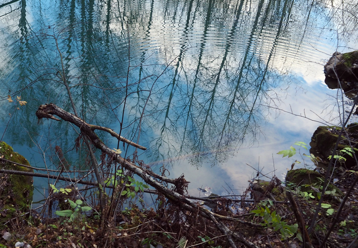 PA062034.jpg