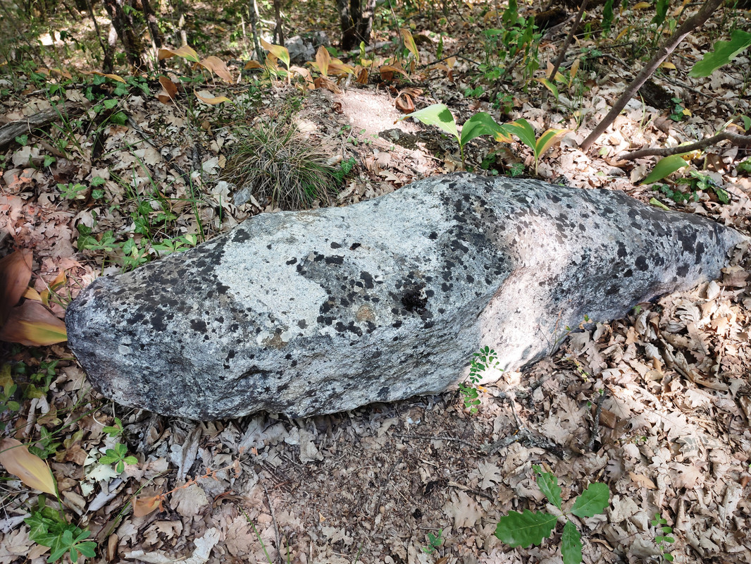 IMG_20250720_093929 кор