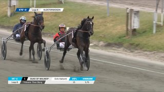 SWE-029-feed220250419-170108.jpg