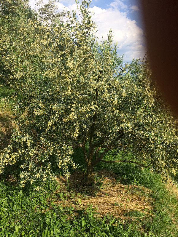 CE1A233B-75C5-49D9-BD10-A991DB1F0110