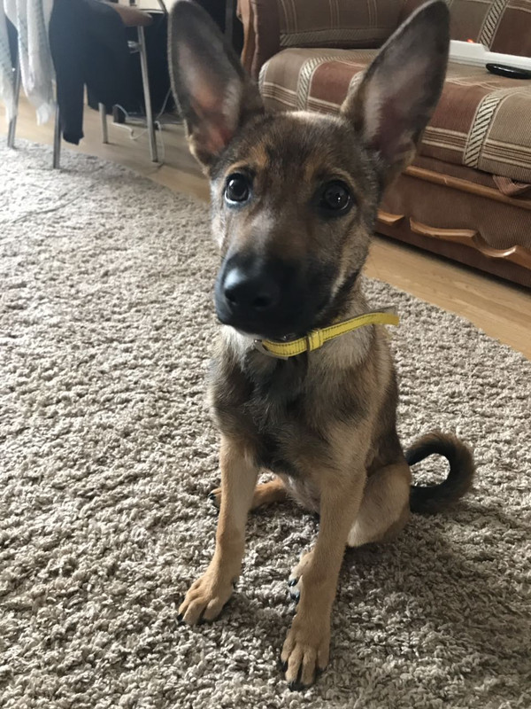 изображение_viber_2019-07-17_21-38-13