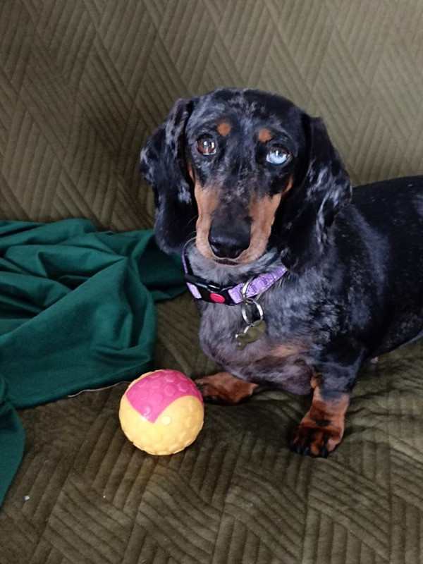 [Image: image000000-228.jpg]