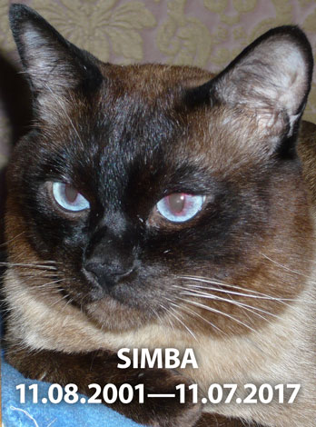 Simba