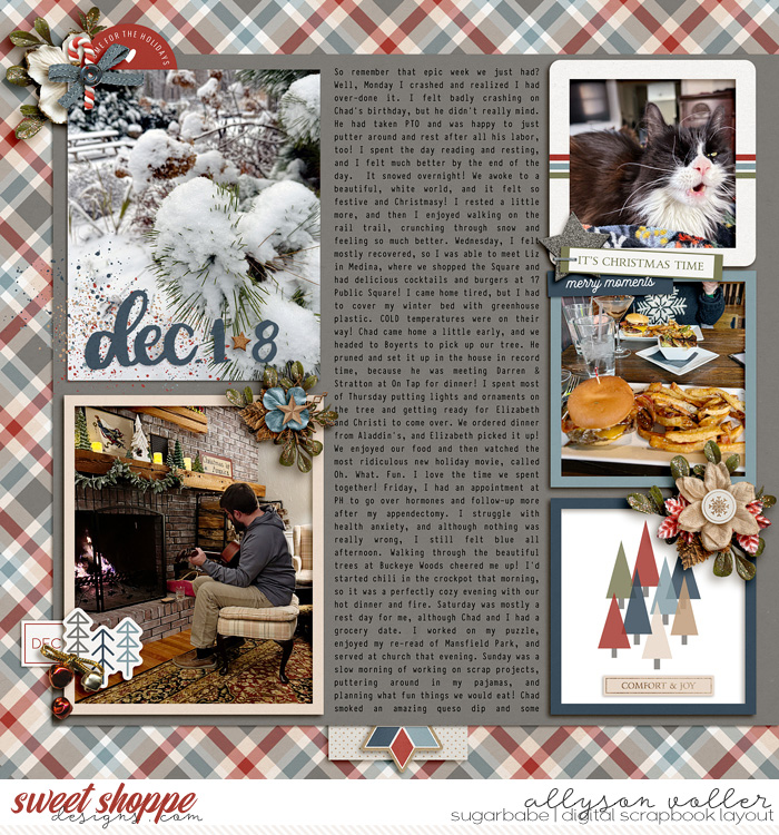 allyanne_Simple_Stories10_Jolly_watercolordates_left_WM.jpg