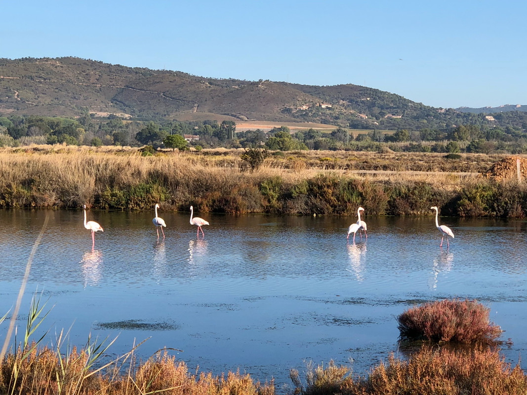 5C446C3B-24D4-49C5-8E63-9E1F4263020E