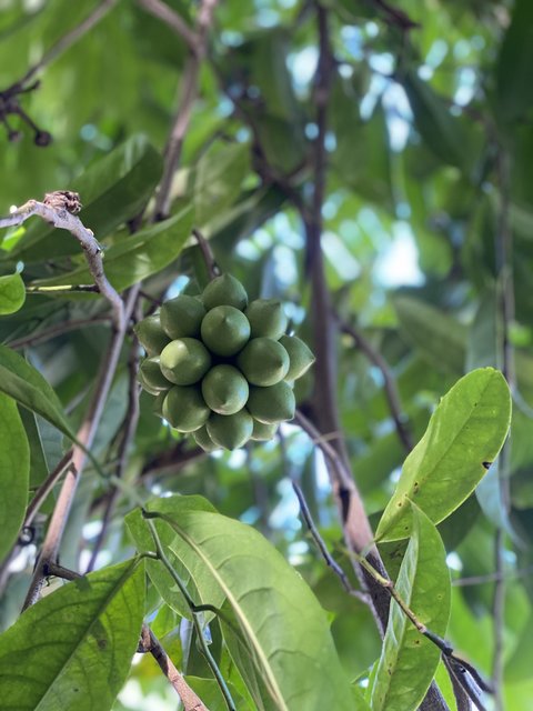 2A3C7C46-B8B5-4C07-AFD5-A98914E1AD24