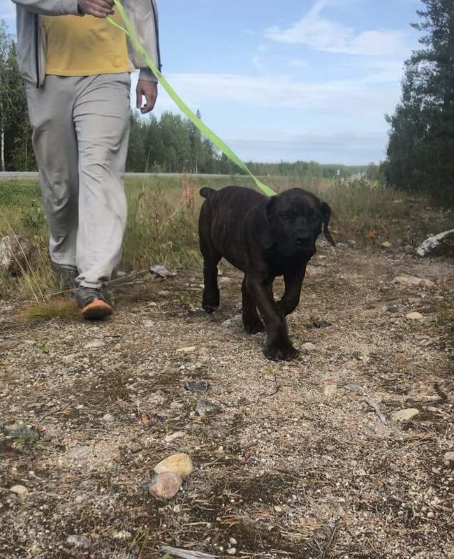 3C164F32-A075-4F02-9DDD-28ADF11089F3