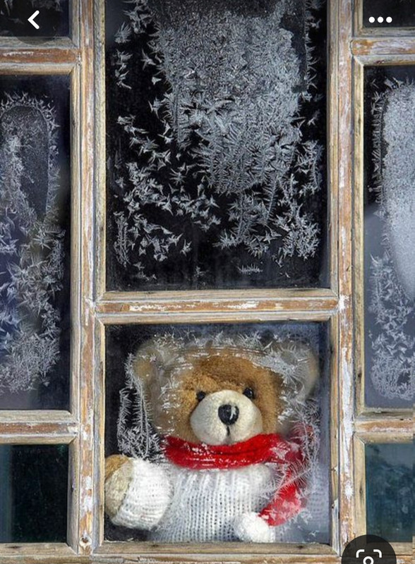 Screenshot_20231228_215702_Pinterest