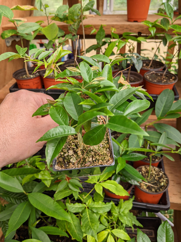 PXL_20230724_190452726