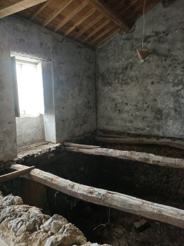 IMG_20240803_170118_761