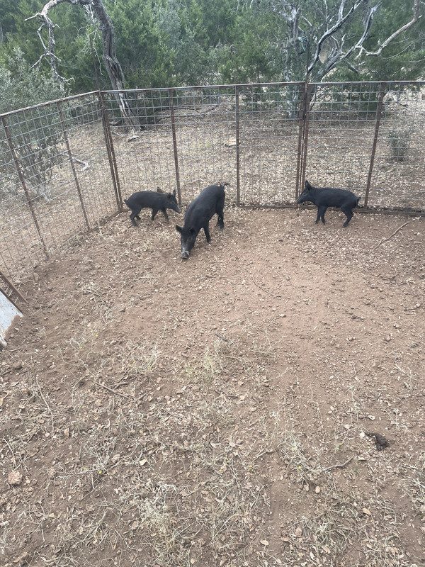 498582F2-63CE-45DC-80AD-F416BFA7B92F