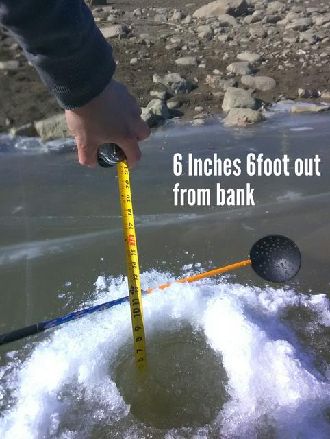 aviary-image-1517609252257