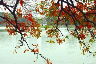 Phòng Thơ Cộng Đồng (Gửi Bài Viết) Ho-Guom-in-Hanoi-autumn