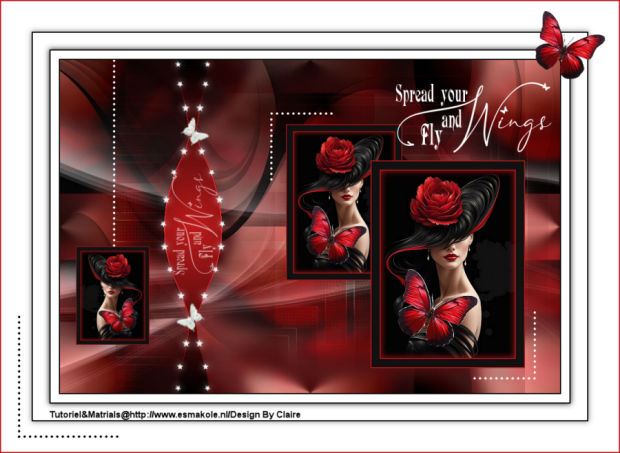 Spread-Your-Fly-and-Wings-620