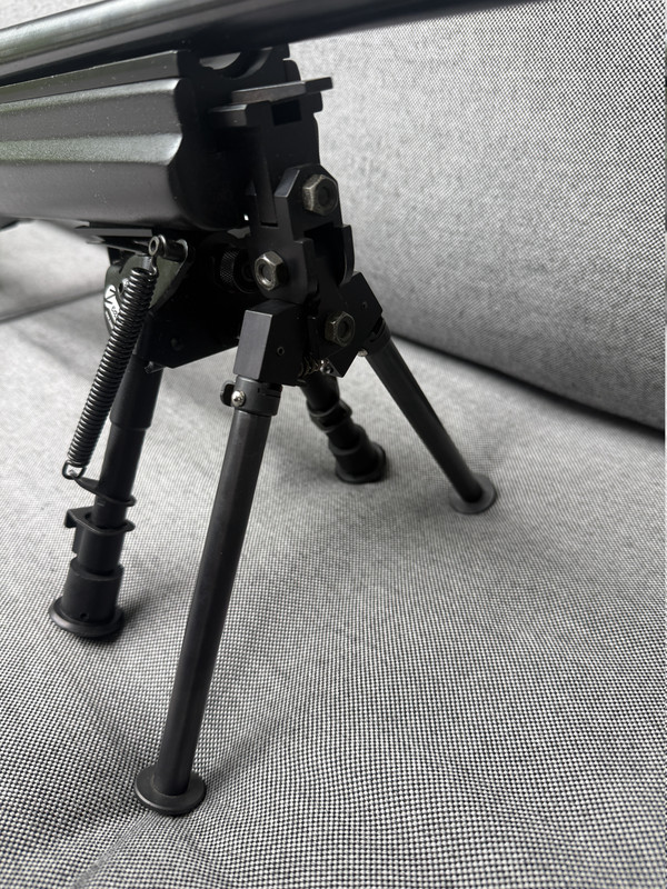 Graviertes Gewehr Ansicht 6