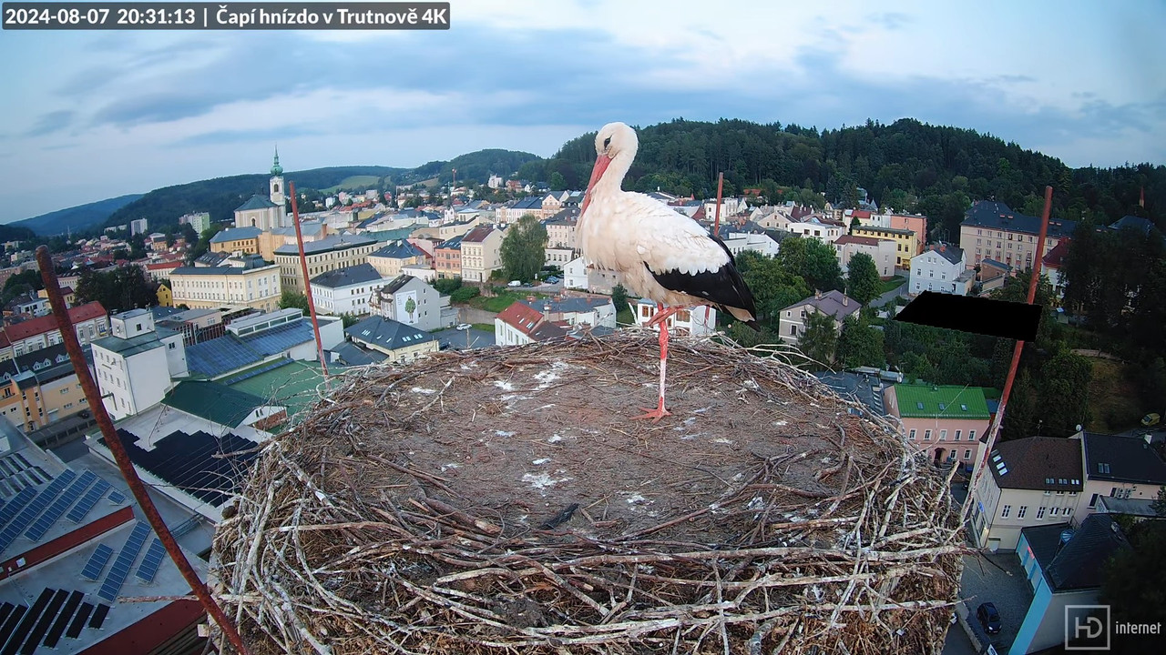 Tiešraidē no stārķa ligzdas uz alus darītavas skursteņa Trutnovā 16-56-41 screenshot