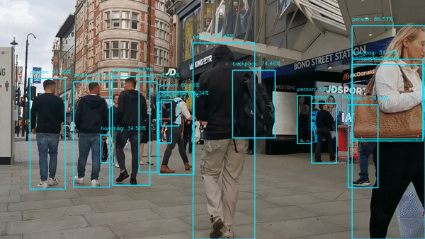 YOLOv5 VF Module Output