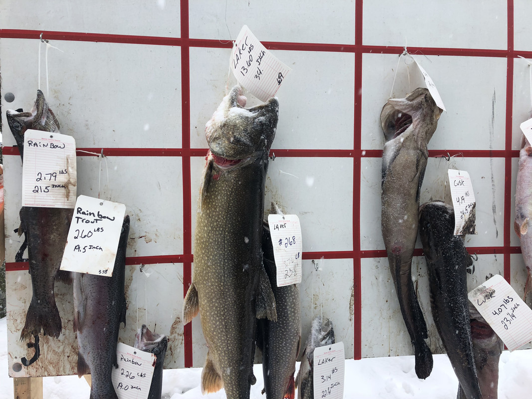 96B34E4A-BDBF-4E24-9FA4-293C33615C6A