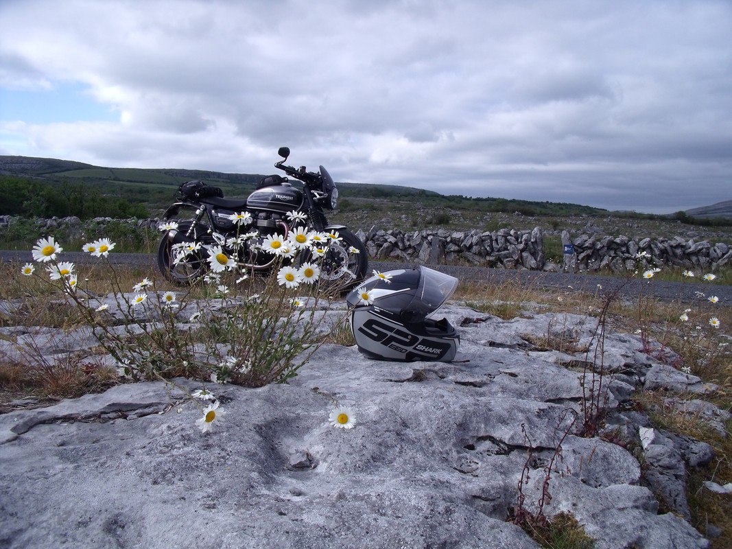 0CC34865-D798-43DF-AA7E-8FAE22046593