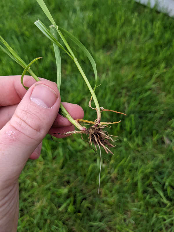 PXL_20220430_135739553