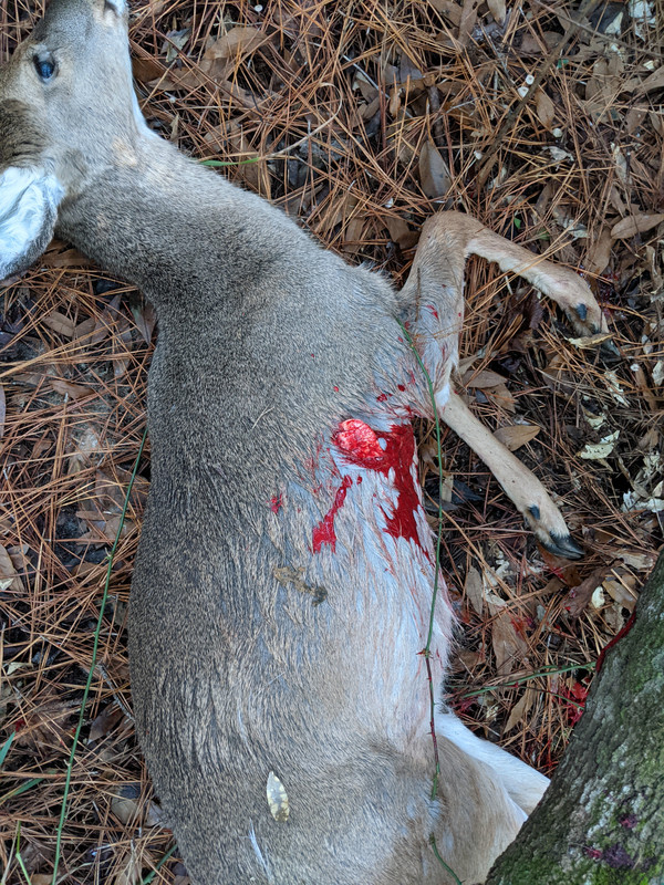 PXL_20211222_221339361