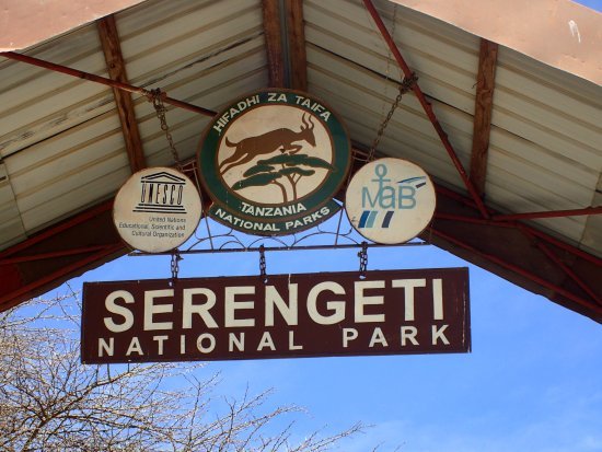 Serengeti Safari