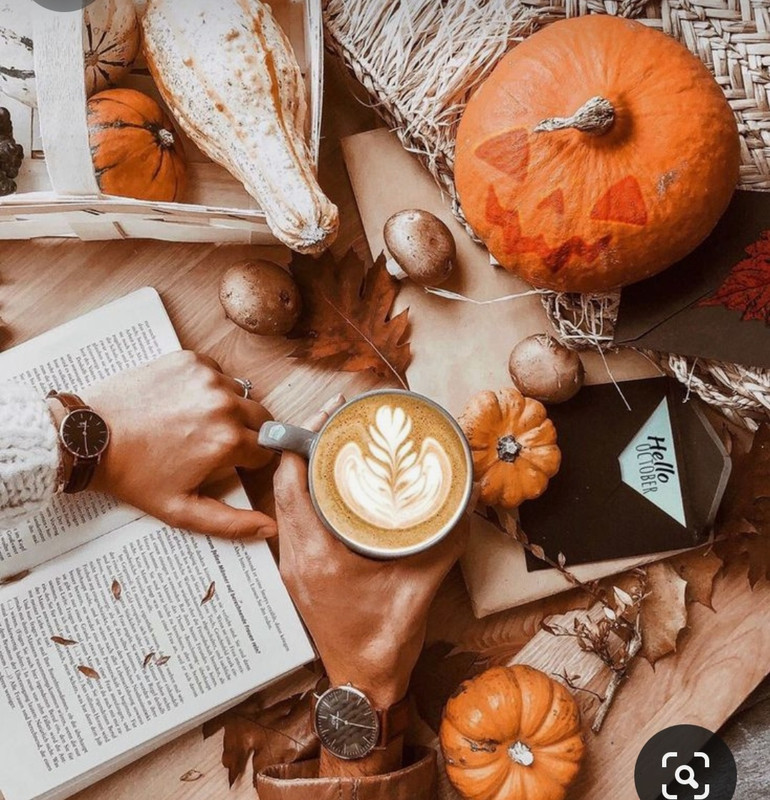 Screenshot_20230909_011334_Pinterest