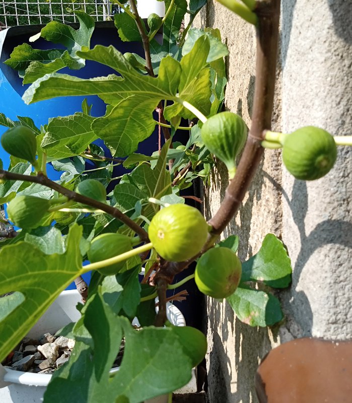 IMG_20240831_105116691