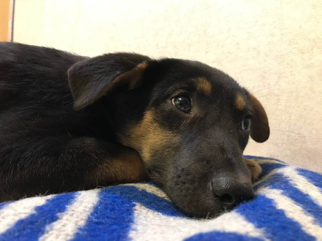 4947823D-3EA1-4A32-83C0-C6A3CF00BE15