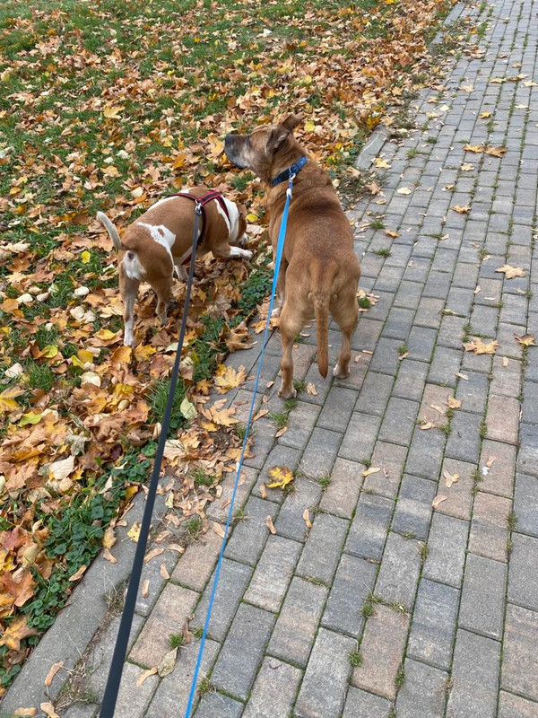 E67AD846-C283-4DEB-97A2-7B6CCB8D293D