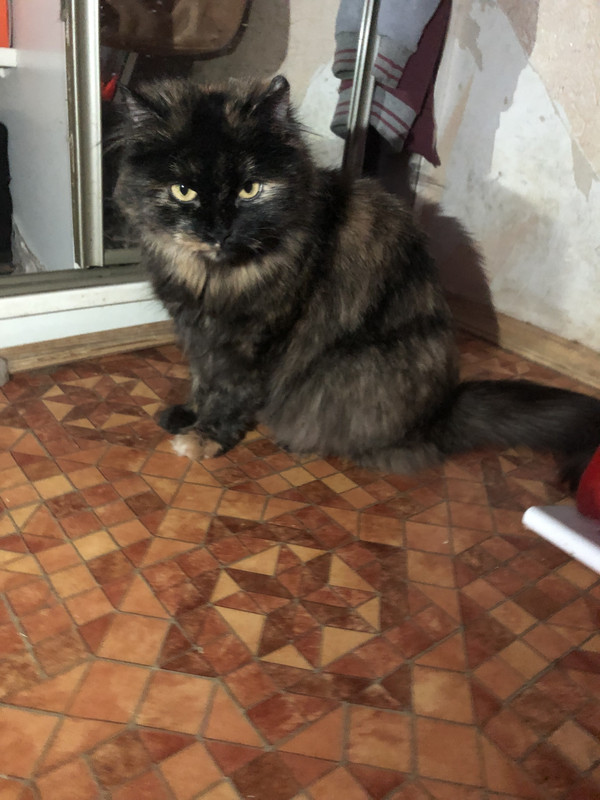 7671048D-E634-4837-81F5-F5088612D69F