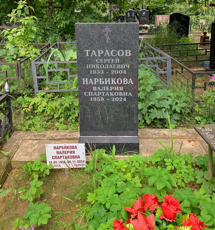 narbikova-vs-new
