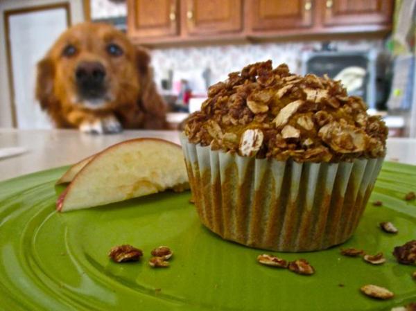 [Image: cupcake-pour-chien-recette-a-la-pomme-et...-2-600.jpg]