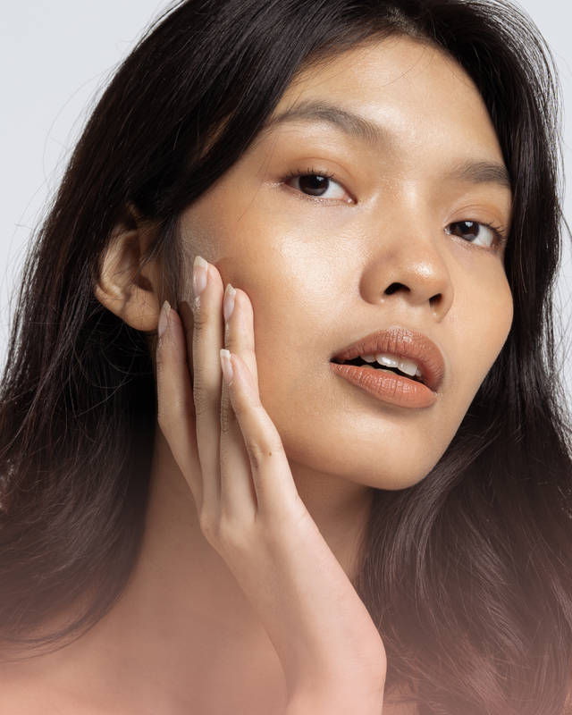 Bundle del ebook y bonuses