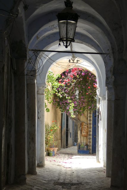 Una semana en Túnez por libre - Blogs de Tunez - Túnez ciudad. La Ville Nouvelle y la Medina (3)
