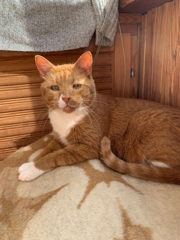 IMG-81ce931ac71acb0026f129679f1a7e25-V