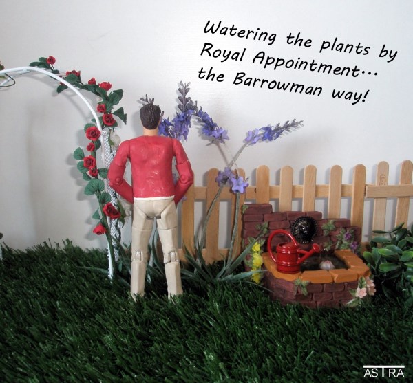 30-Astra-Plants