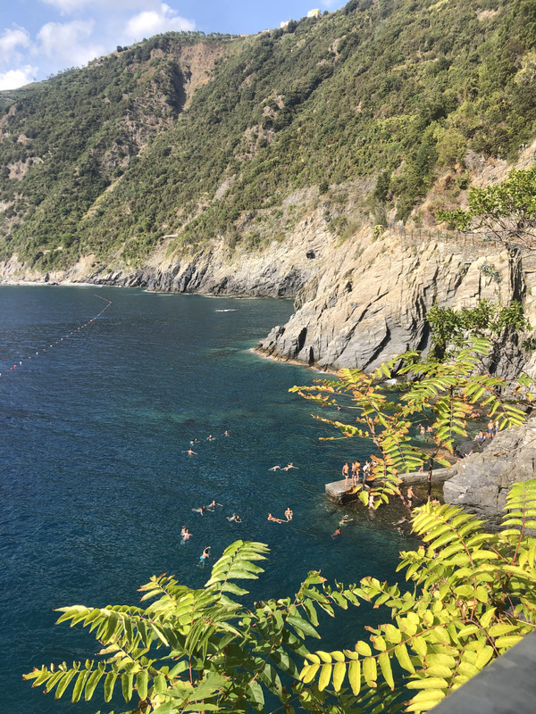 FF35A151-D079-45BB-8BD6-EC1F66B6F413