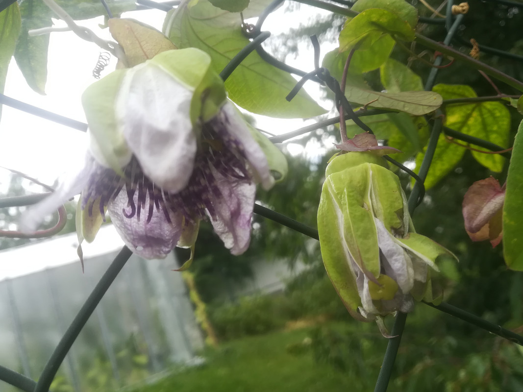 143905 5 visual data 3