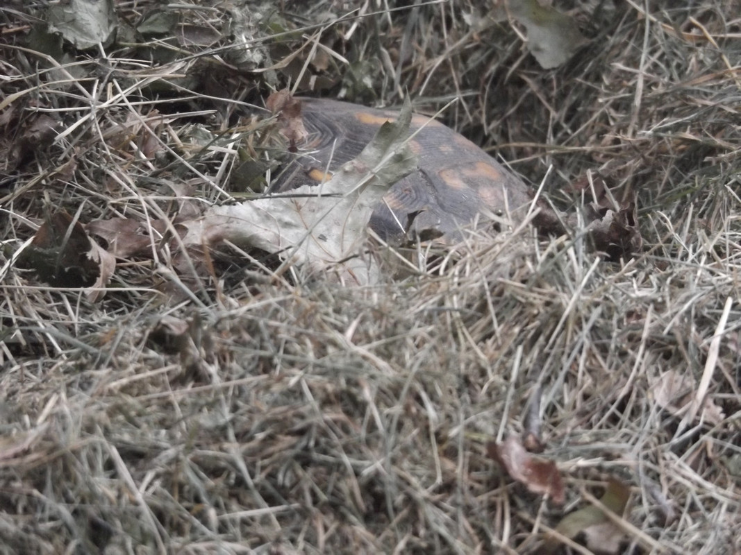DSCF6535.jpg