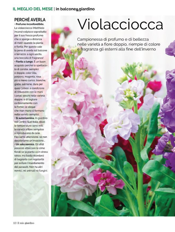 Il Mio Giar Apr-Mag 2023 (5)