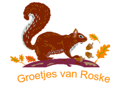 eekhoorn.png