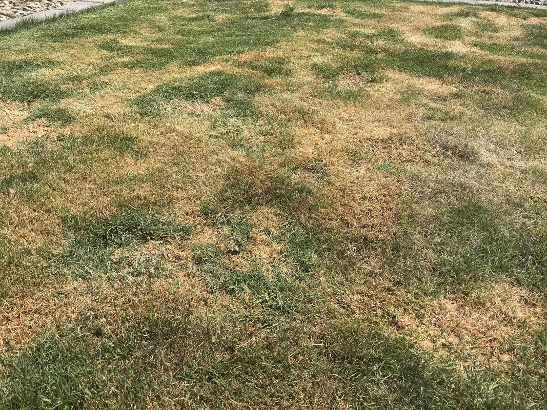 C1149B43-C030-44BA-84C5-82E7105CC7D7